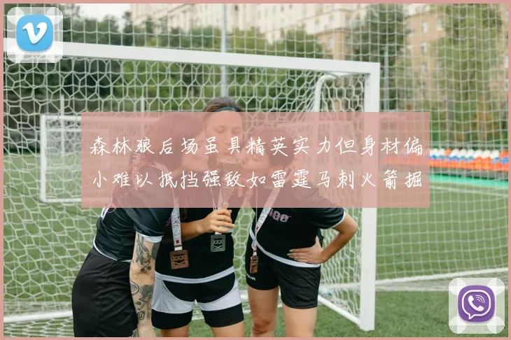 森林狼后场虽具精英实力但身材偏小难以抵挡强敌如雷霆马刺火箭掘金